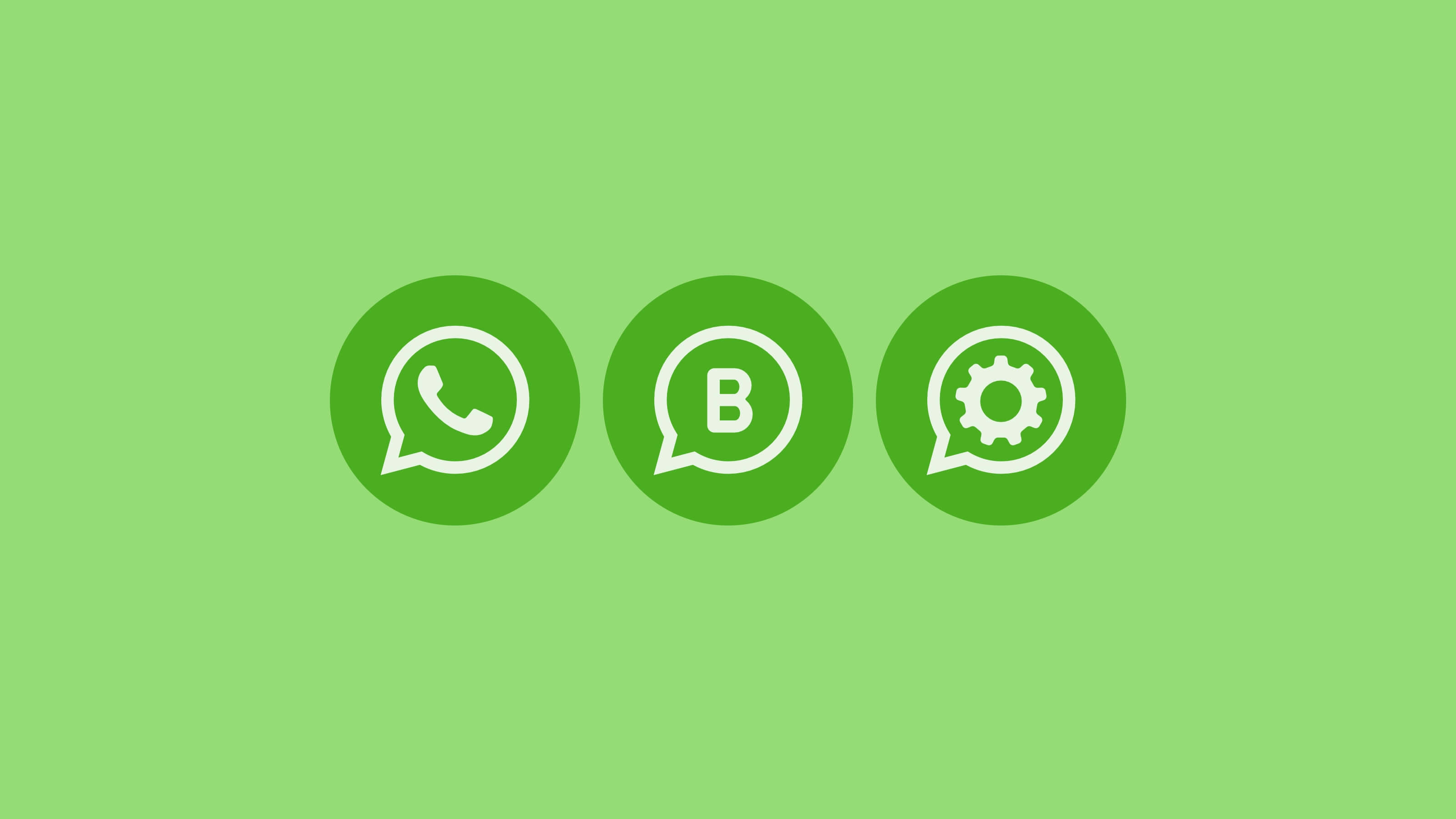 ما هو الفرق بين WhatsApp Messenger وWhatsApp Business وWhatsApp Business API